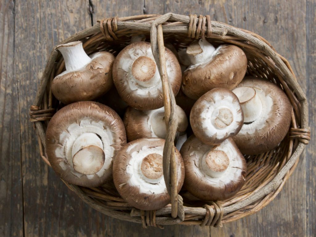 Buy Mushroom Online